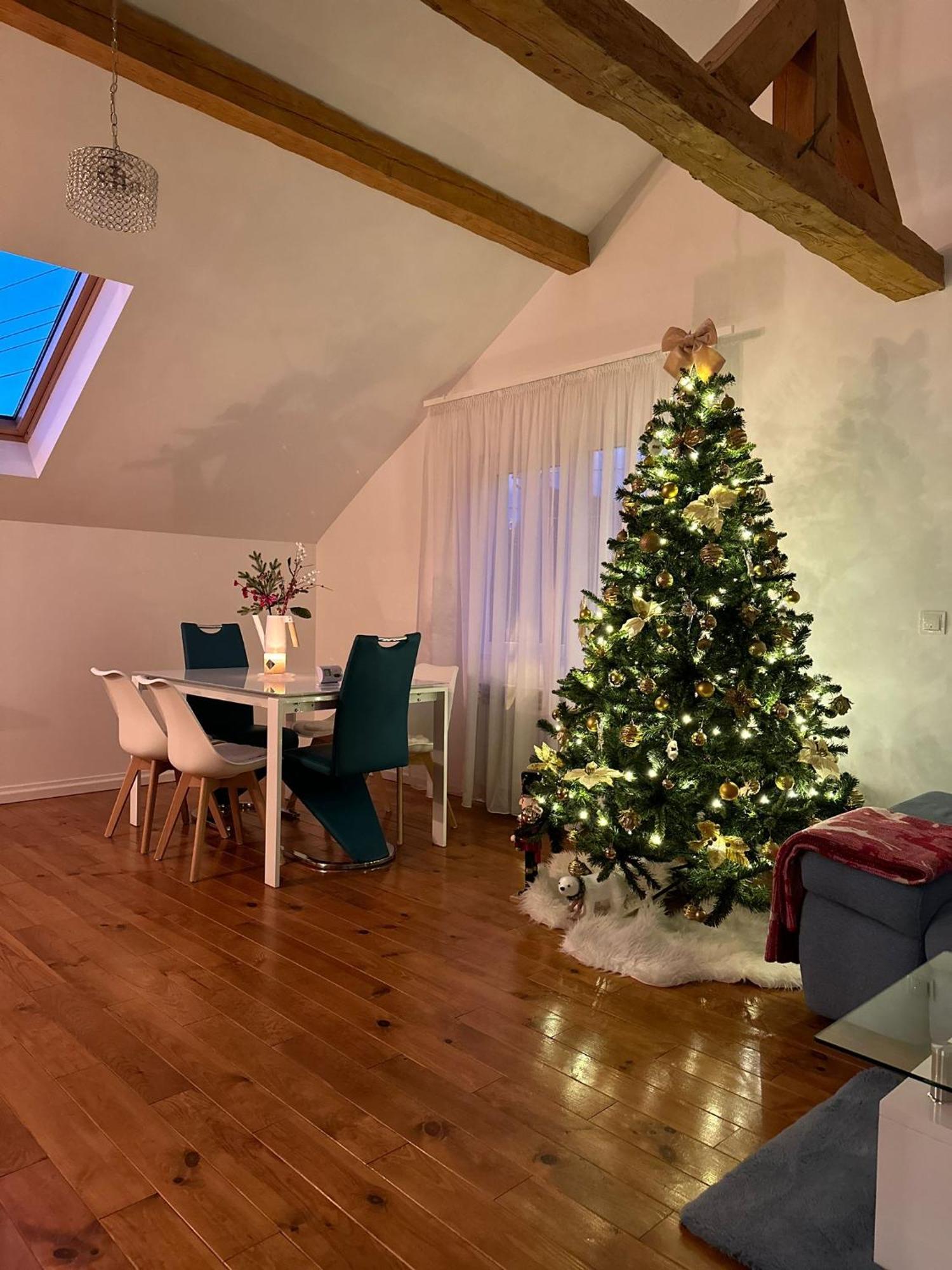 Апартаменты Attic 33 Кымпулунг-Молдовенеск Экстерьер фото